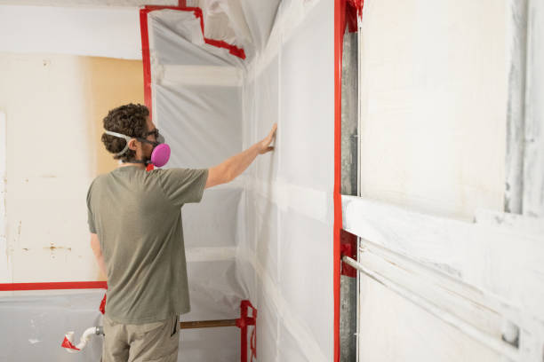 Mold Documentation for Insurance Claims in Hillsdale, MI