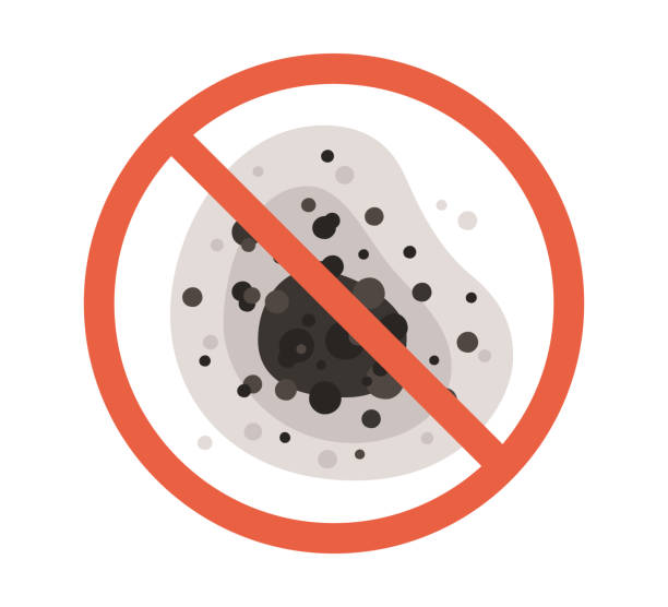 Best Comprehensive Air Testing for Mold Contaminants  in Hillsdale, MI