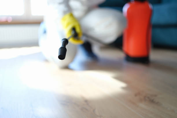 Mold Removal for HVAC Installations in Hillsdale, MI