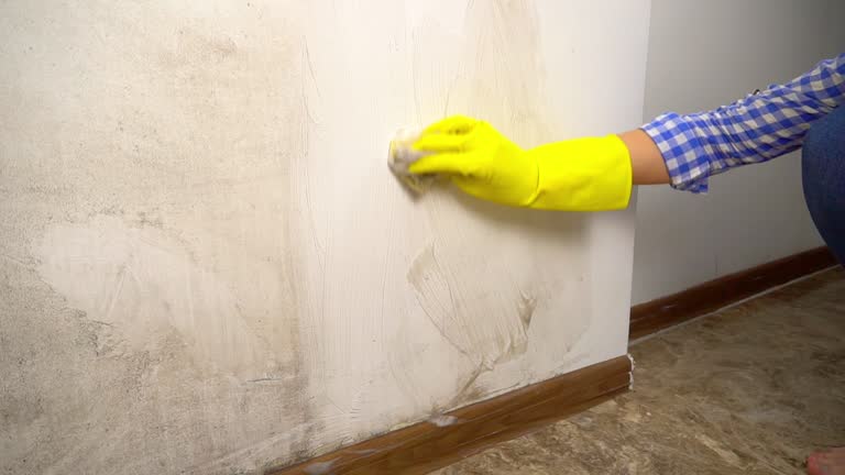 Best Mold Remediation for Healthcare Facilities  in Hillsdale, MI